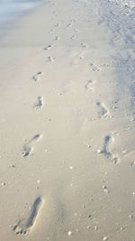 High angle view of footprints on beach