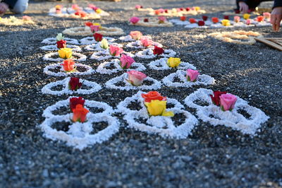 Close-up of flower petals on road