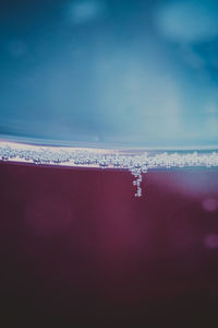 Close-up of water drops on glass window