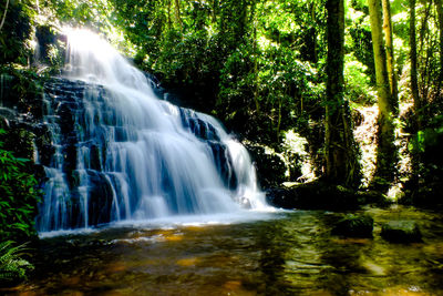 Low angle view of waterfall in forest