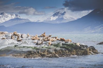 Scenic view of sea and mountains against sky