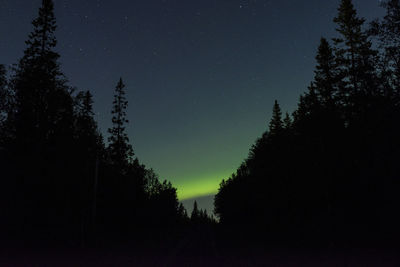 Silhouette trees in forest against clear sky at night