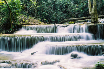 Scenic view of waterfall in forest