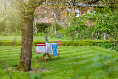 Trees on grassy field