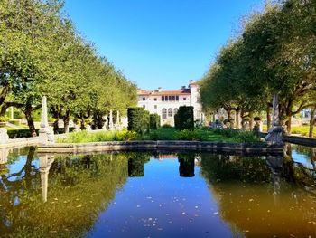 Reflection of trees in water against blue sky