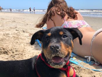 Woman with dog at beach