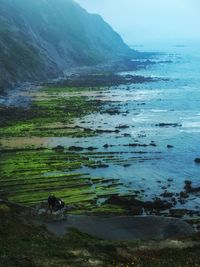 Scenic view of landscape