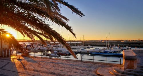 Sailboats moored on sea against clear sky at sunset