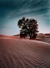 Scenic view of desert against sky