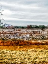 Scenic view of field against sky