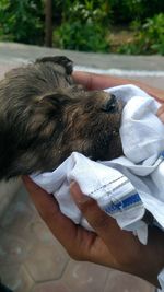 High angle view of hand holding hands