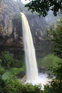 View of waterfall in forest