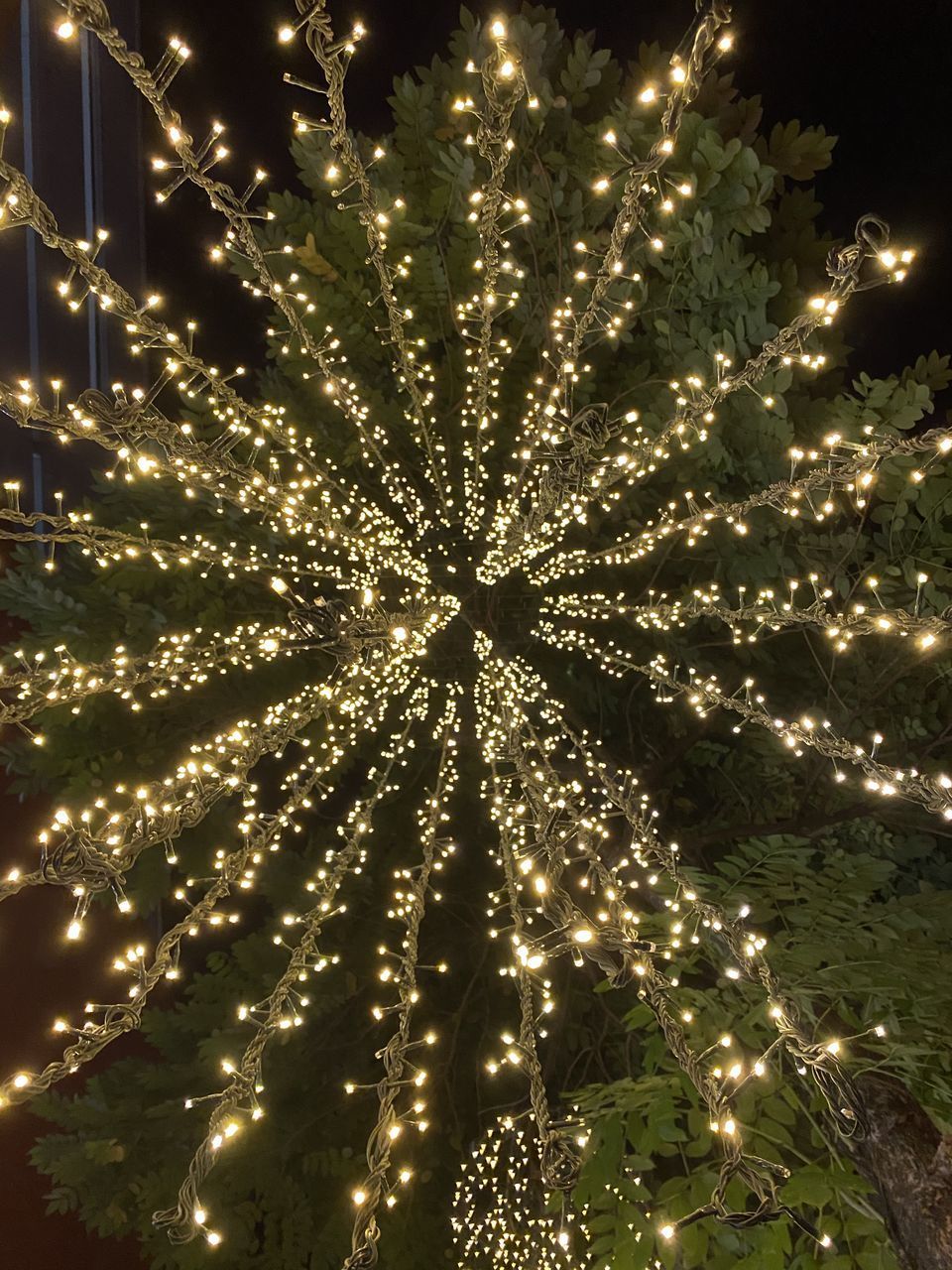 LOW ANGLE VIEW OF FIREWORKS DISPLAY AT NIGHT