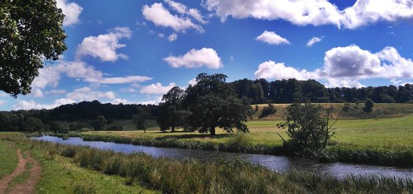 Panoramic view of trees on field against sky