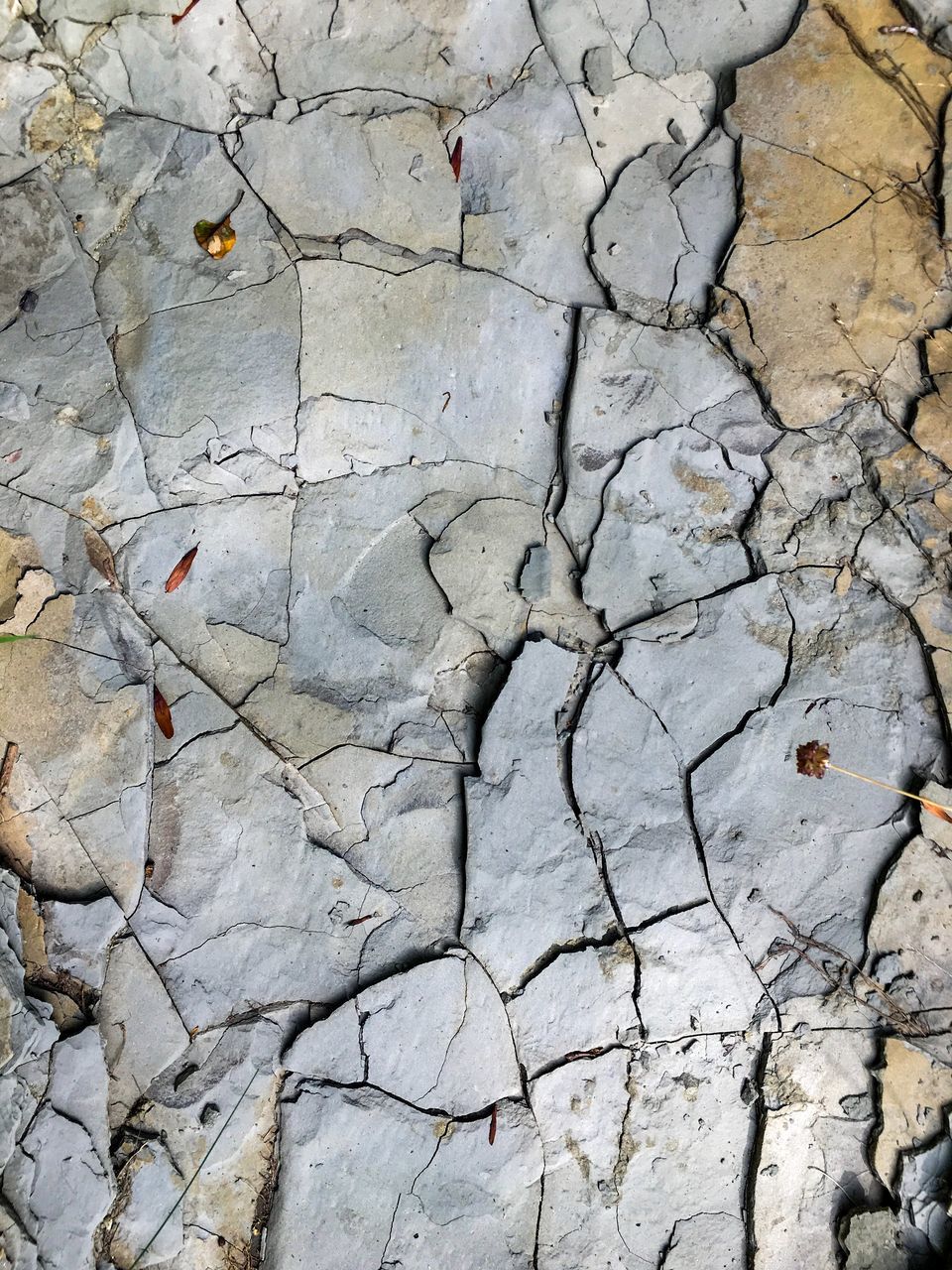 CLOSE-UP OF CRACKED LAND