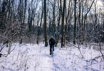 Rear view of man walking on snow covered forest