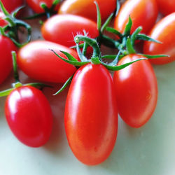 Close-up of tomatoes on table