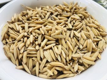 Close-up of pasta in bowl on table