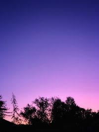 Low angle view of silhouette trees against blue sky at sunset