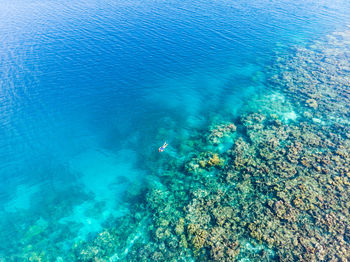 High angle view of person swimming in sea