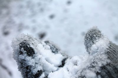 Cropped image of snow covered hand