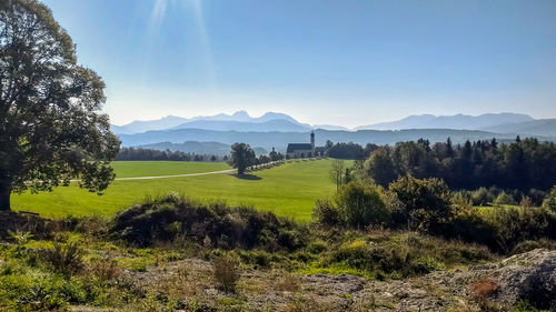 Scenic view of field against sky