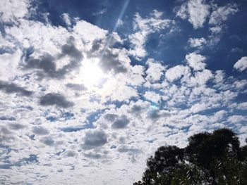 Low angle view of trees against sky