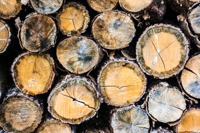 Stack of firewood