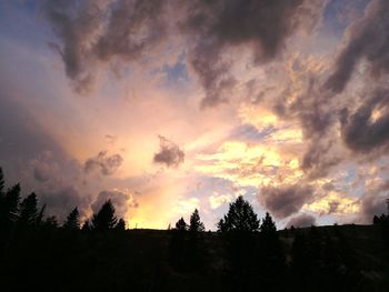 Silhouette trees against sky during sunset