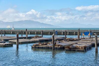 Pier over sea against sky