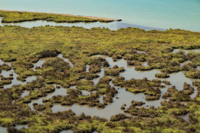 Scenic view of lake