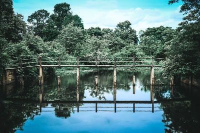 Reflection of trees in lake against sky