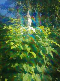 Portrait of green leaves on tree