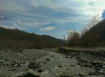 Surface level of dirt road amidst trees against sky