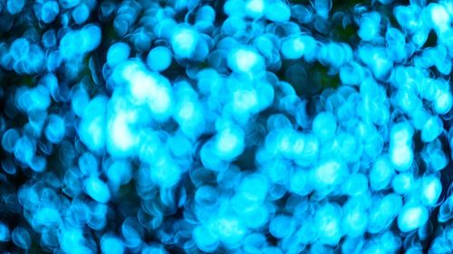 Full frame shot of blue lights