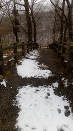 Scenic view of snow covered trees during winter