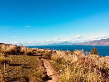 Scenic view of sea against blue sky