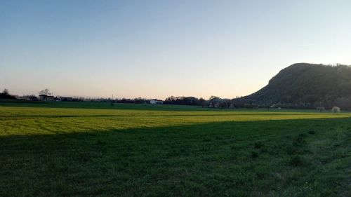 Scenic view of field against clear sky