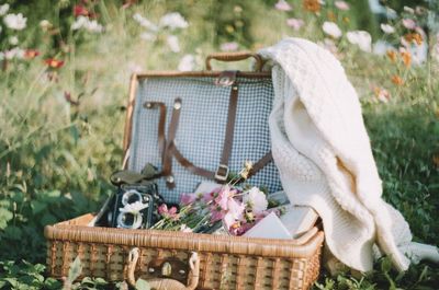 View of flowering plants in basket on field