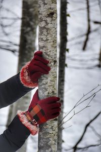 Cropped hands of woman wearing gloves holding tree trunk during winter