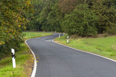 Road amidst trees and plants