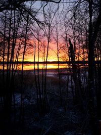 Silhouette trees by lake against sky during sunset