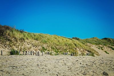 Scenic view of farm against clear blue sky