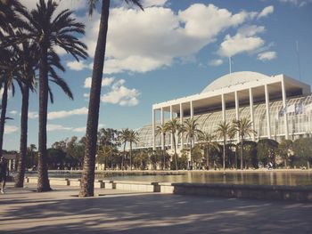 Palm trees in city against sky