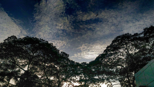 Low angle view of silhouette trees against sky