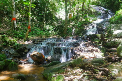 Scenic view of waterfall in forest