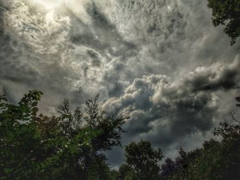 Low angle view of trees against storm clouds