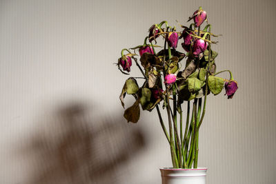 Close-up of flower pot on table against wall