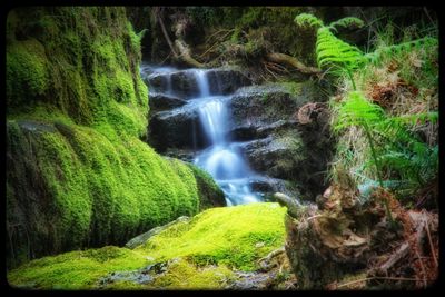 Scenic view of waterfall