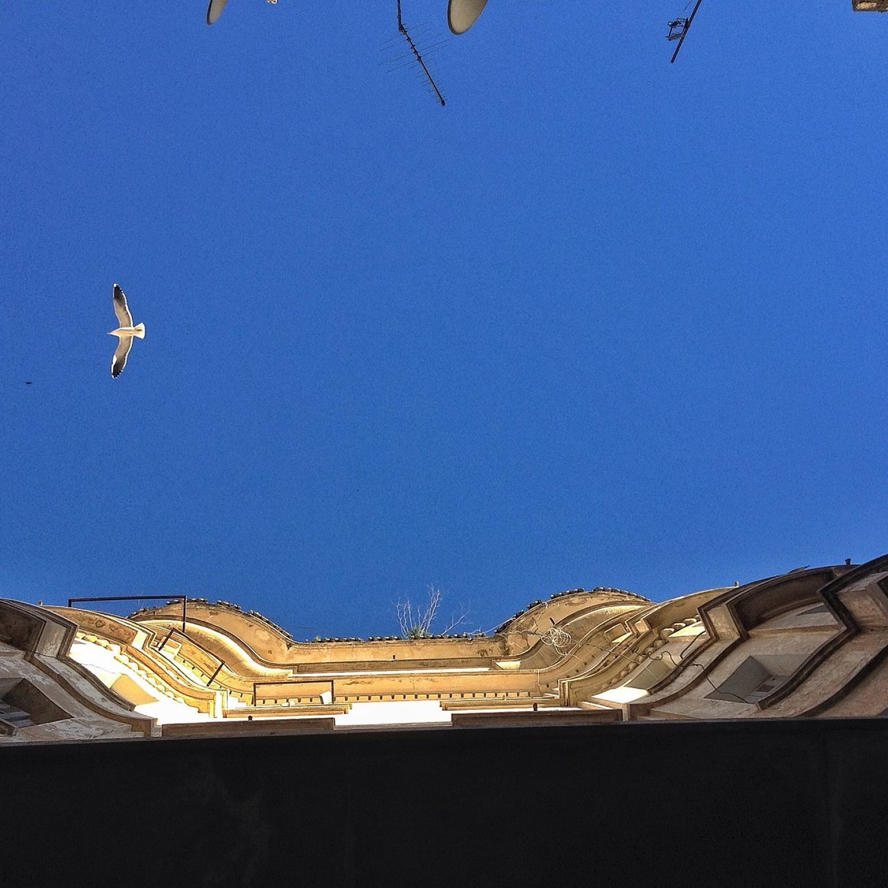 LOW ANGLE VIEW OF BUILT STRUCTURES AGAINST BLUE SKY